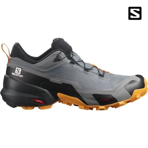 Tênis De Caminhada Salomon Cross Hike GTX Masculino Cinzentas | PT R09687